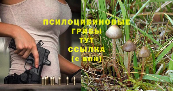 скорость Верхний Тагил