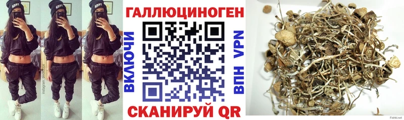 Галлюциногенные грибы мухоморы Полесск