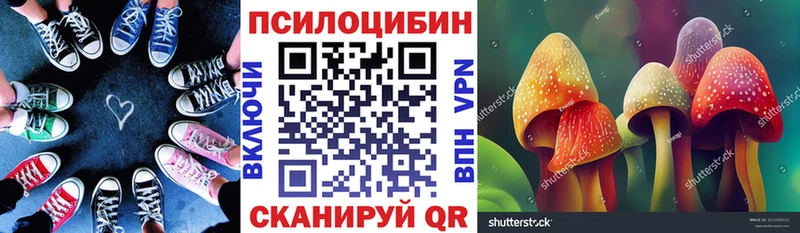 Галлюциногенные грибы Psilocybe  Купить  Полесск 